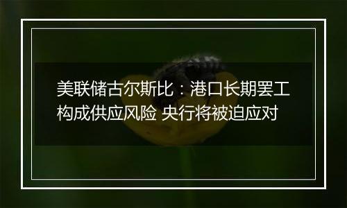 美联储古尔斯比:港口长期罢工构成供应风险 央行将被迫应对