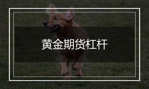 黄金期货杠杆