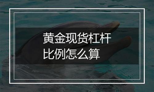 黄金现货杠杆比例怎么算