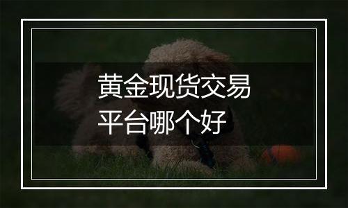 黄金现货交易平台哪个好