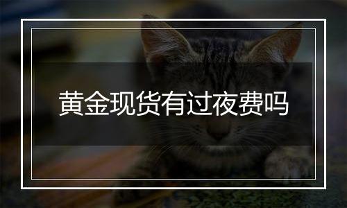 黄金现货有过夜费吗