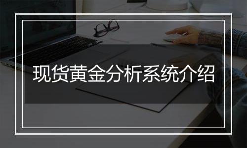 现货黄金分析系统介绍