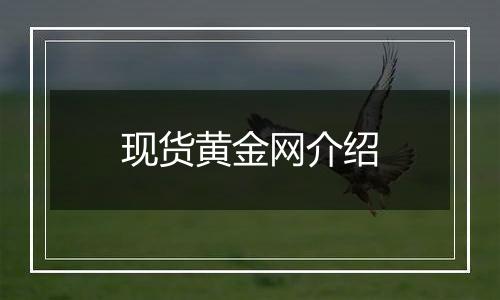 现货黄金网介绍