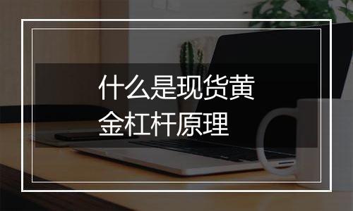 什么是现货黄金杠杆原理