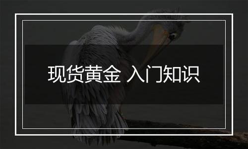 现货黄金 入门知识