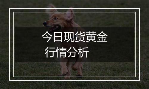 今日现货黄金 行情分析