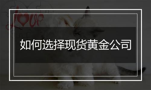 如何选择现货黄金公司