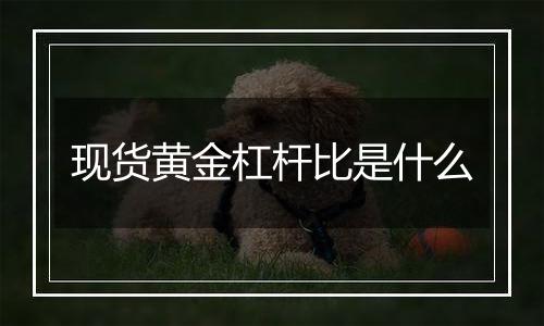 现货黄金杠杆比是什么
