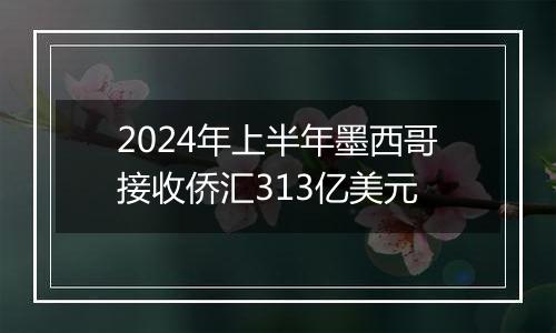 2024年上半年墨西哥接收侨汇313亿美元