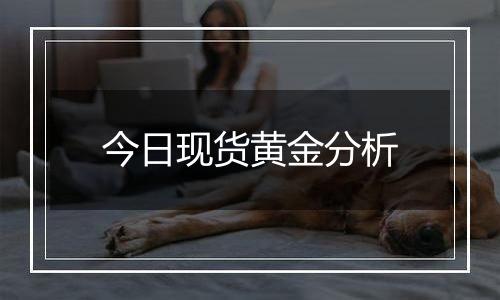 今日现货黄金分析