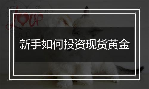 新手如何投资现货黄金