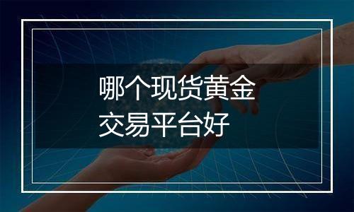 哪个现货黄金交易平台好