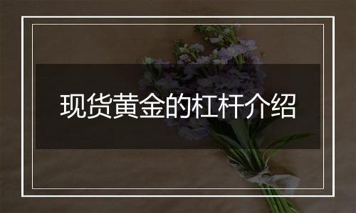 现货黄金的杠杆介绍