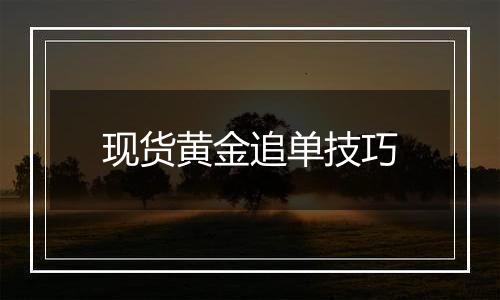 现货黄金追单技巧