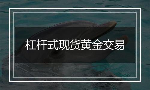 杠杆式现货黄金交易