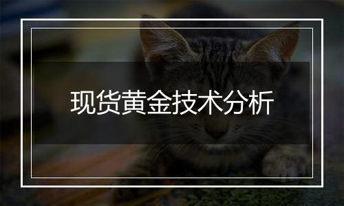 现货黄金技术分析