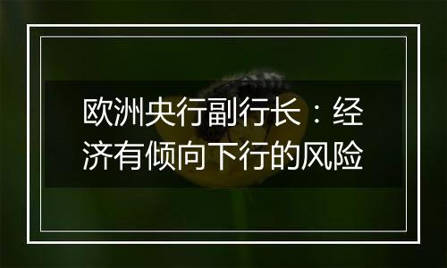 欧洲央行副行长:经济有倾向下行的风险