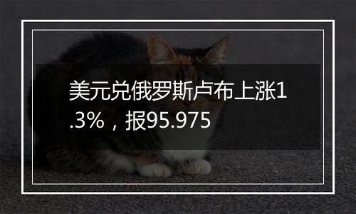 美元兑俄罗斯卢布上涨1.3%,报95.975