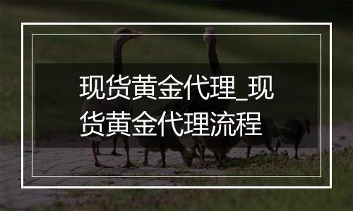 现货黄金代理_现货黄金代理流程