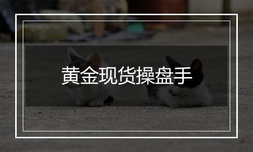 黄金现货操盘手