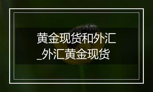 黄金现货和外汇_外汇黄金现货