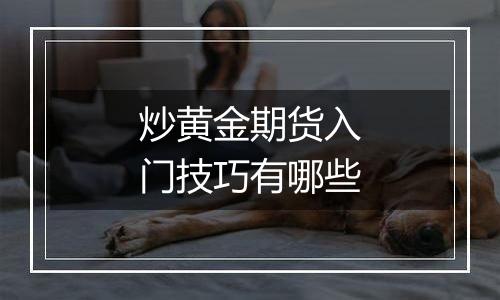 炒黄金期货入门技巧有哪些