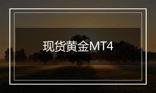 现货黄金MT4