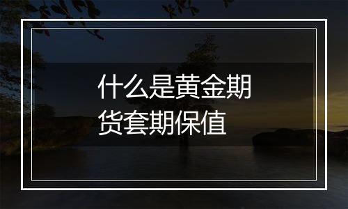 什么是黄金期货套期保值