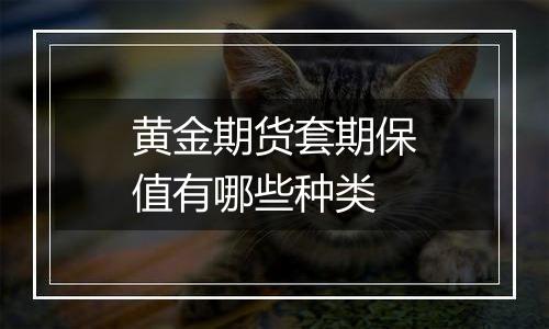 黄金期货套期保值有哪些种类