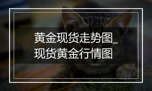 黄金现货走势图_现货黄金行情图