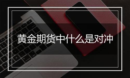 黄金期货中什么是对冲