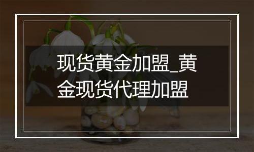 现货黄金加盟_黄金现货代理加盟