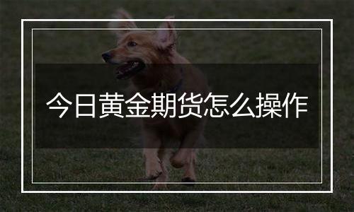 今日黄金期货怎么操作