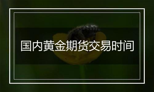 国内黄金期货交易时间