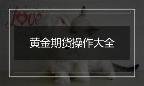 黄金期货操作大全
