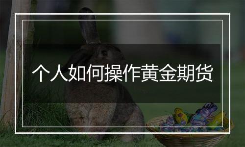 个人如何操作黄金期货