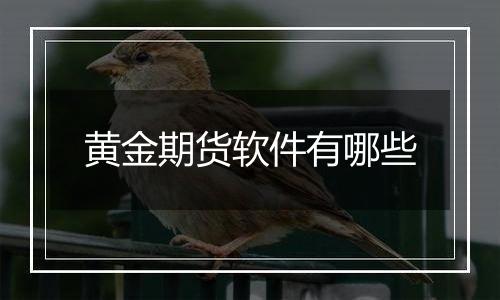 黄金期货软件有哪些