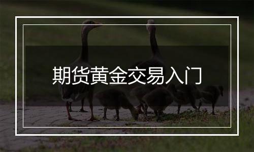 期货黄金交易入门