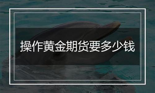 操作黄金期货要多少钱