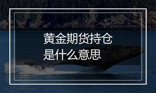 黄金期货持仓是什么意思