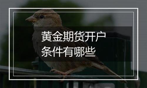 黄金期货开户条件有哪些
