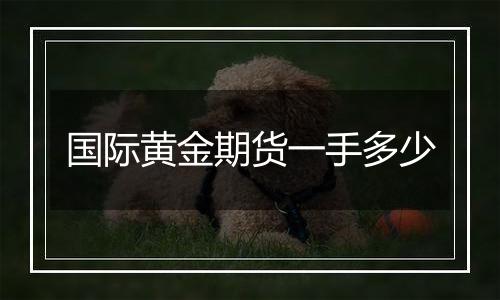 国际黄金期货一手多少