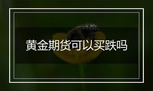 黄金期货可以买跌吗