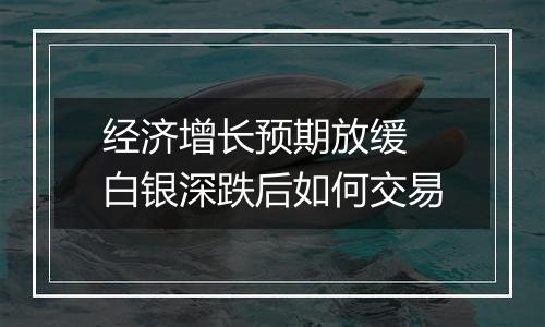 经济增长预期放缓 白银深跌后如何交易