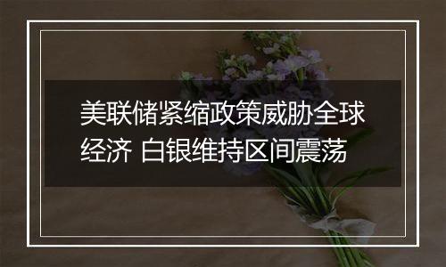 美联储紧缩政策威胁全球经济 白银维持区间震荡