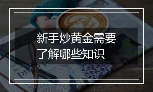 新手炒黄金需要了解哪些知识
