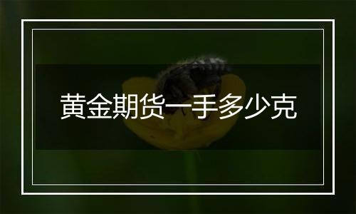 黄金期货一手多少克
