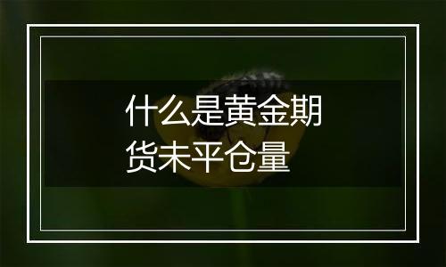 什么是黄金期货未平仓量