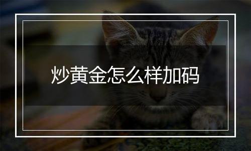 炒黄金怎么样加码