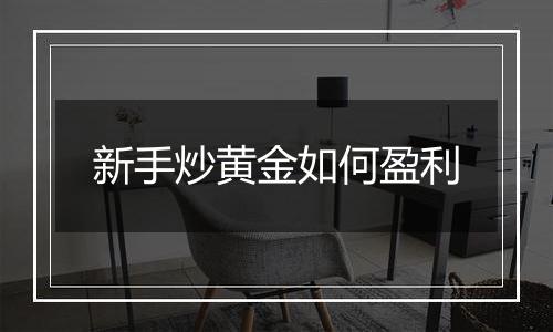 新手炒黄金如何盈利